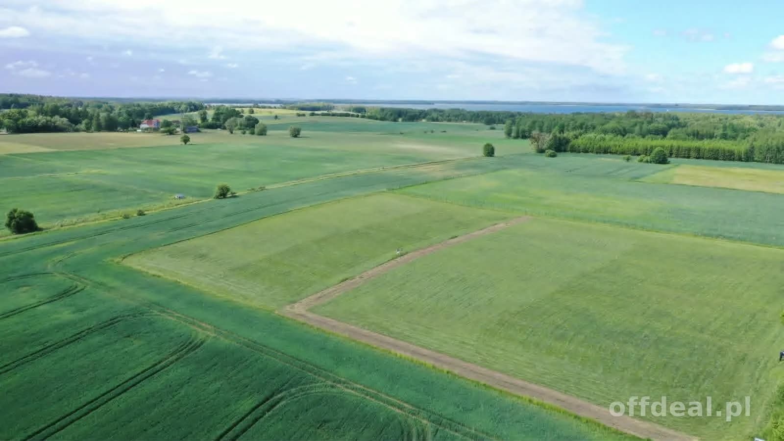 Działka budowlana Harsz - Twoja ostoja spokoju