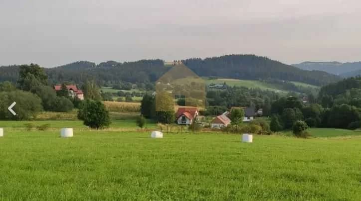 terrain à vendre à Nowa Ruda | 2 000 m²