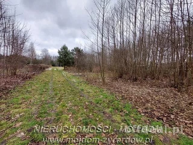 Piękna działka budowlana blisko Radziejowic.