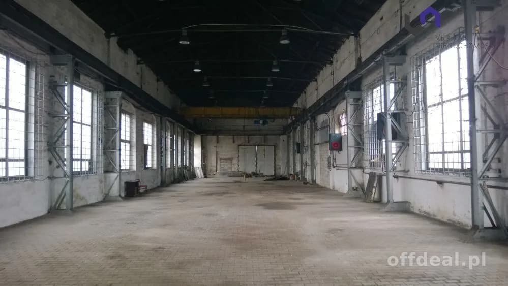 Lokal na wynajem, Zabrze