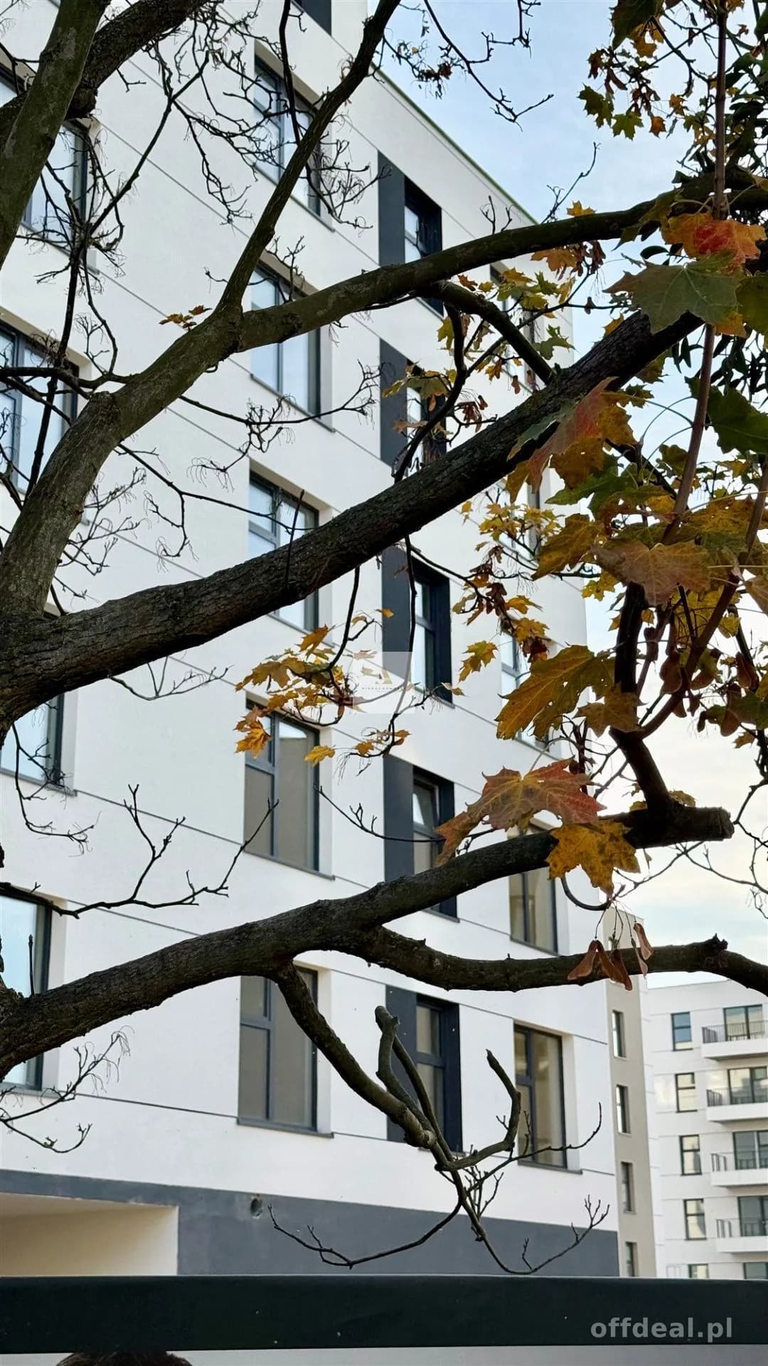 Zdjęcie 10: Mieszkanie, 2 pokoje, 53 m², Wrocław