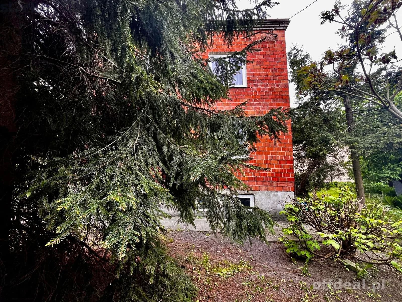 Dom Paprotnia 190 m 2 ogród 2156 m 2 - MPZP - Kup bez prowizji