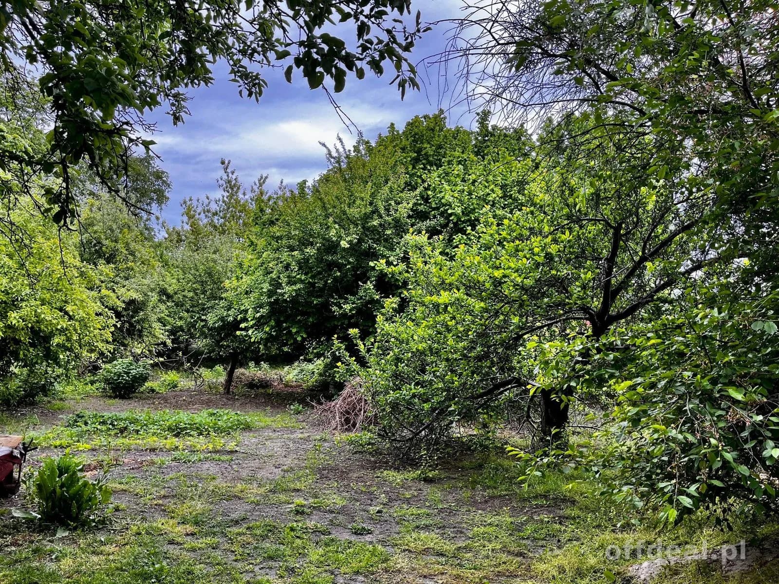 Dom Paprotnia 190 m 2 ogród 2156 m 2 - MPZP - Kup bez prowizji