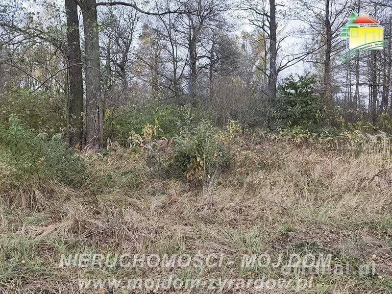 Działka budowlana w Radziwiłłowie.