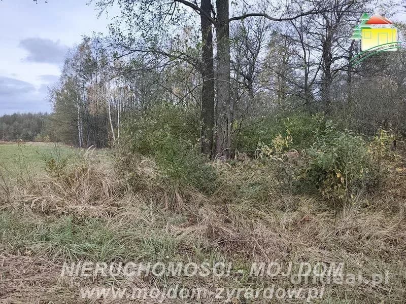 Działka budowlana w Radziwiłłowie.