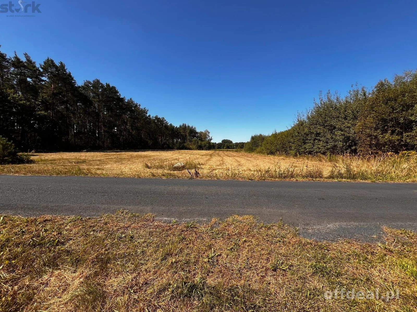 plot for sale in Mszczonów | 5,000 m²