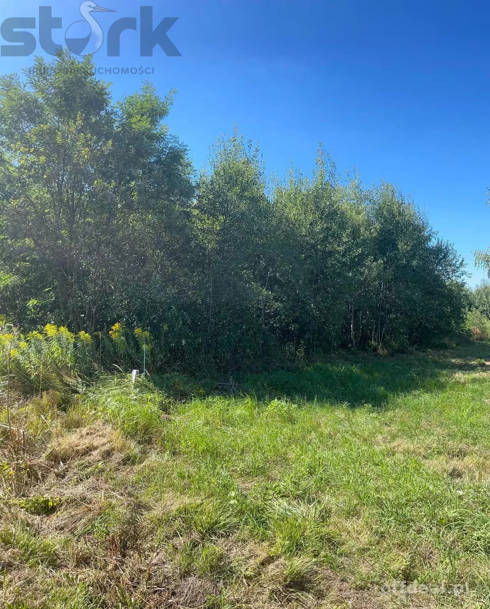 plot for sale in Mszczonów | 5,000 m²