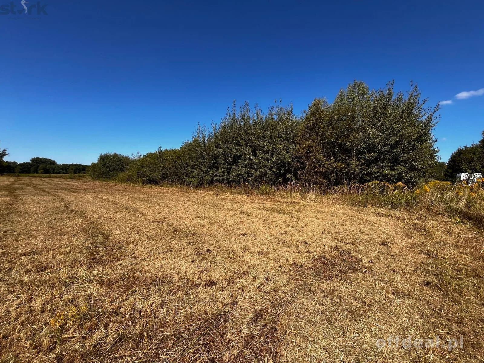 plot for sale in Mszczonów | 5,000 m²