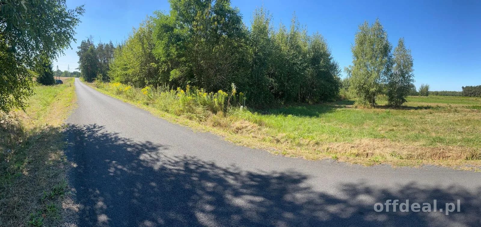 Działka 5000 m blisko Mszczonowa warunki zabudowy
