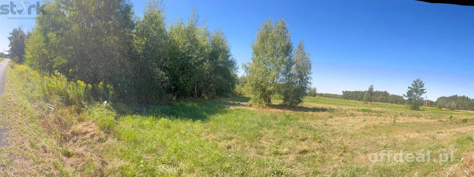 plot for sale in Mszczonów | 5,000 m²