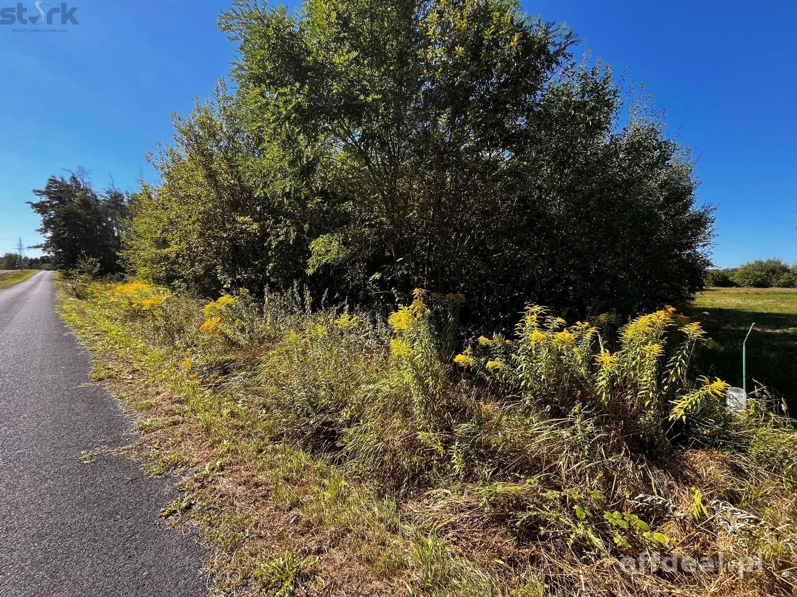 plot for sale in Mszczonów | 5,000 m²