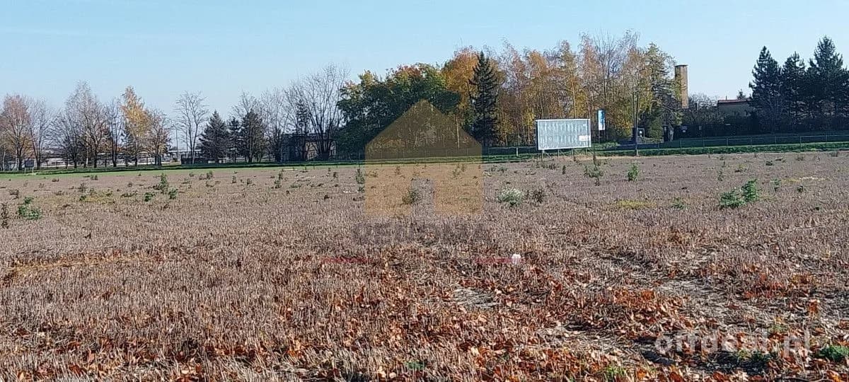 plot for sale in Świebodzice, Pełcznica | 14,000 m²