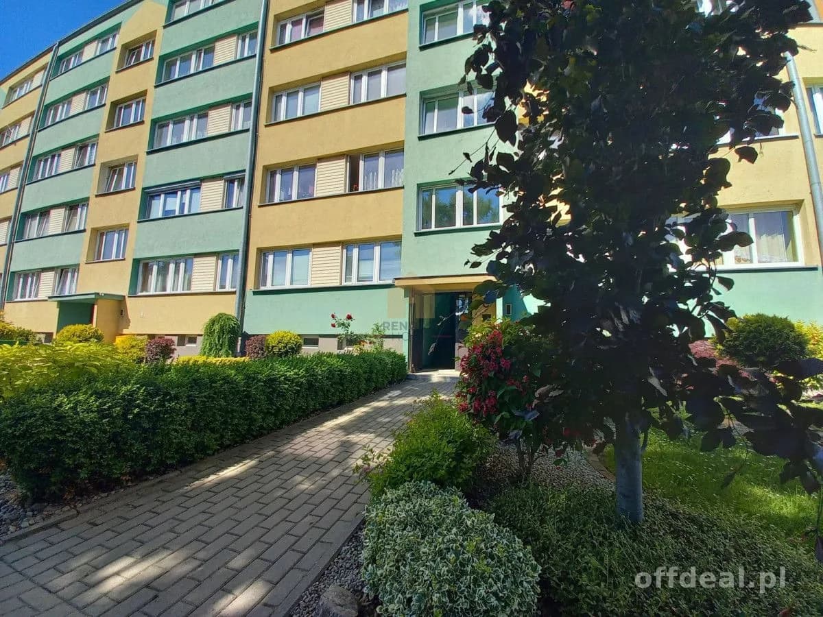 Jasne 2 pokoje z osobną kuchnią i widokiem na góry
