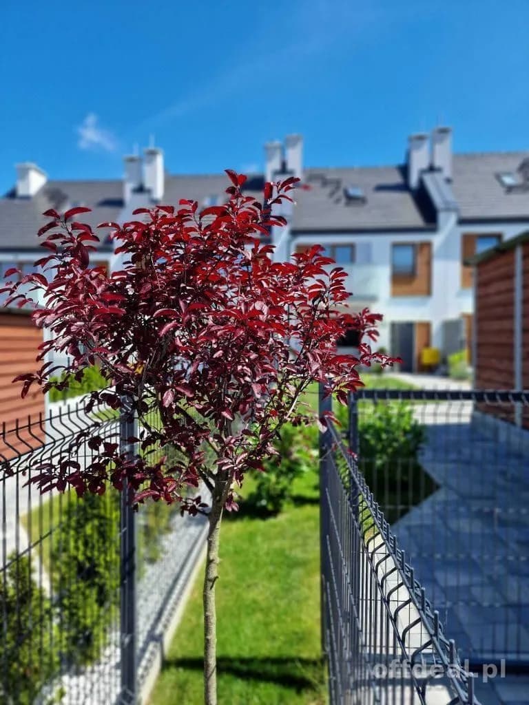 4-room house for sale in Kołobrzeg, Janiska | 100.79 m²