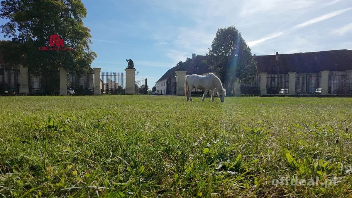 Zdjęcie 12: Mieszkanie, 3 pokoje, 84 m², Brody