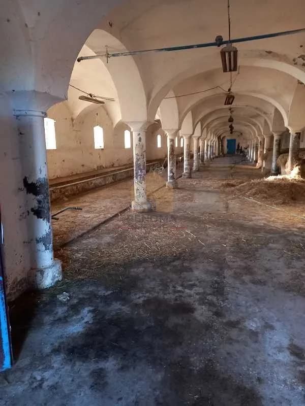 bien commercial à vendre à Łagiewniki | 550 m²