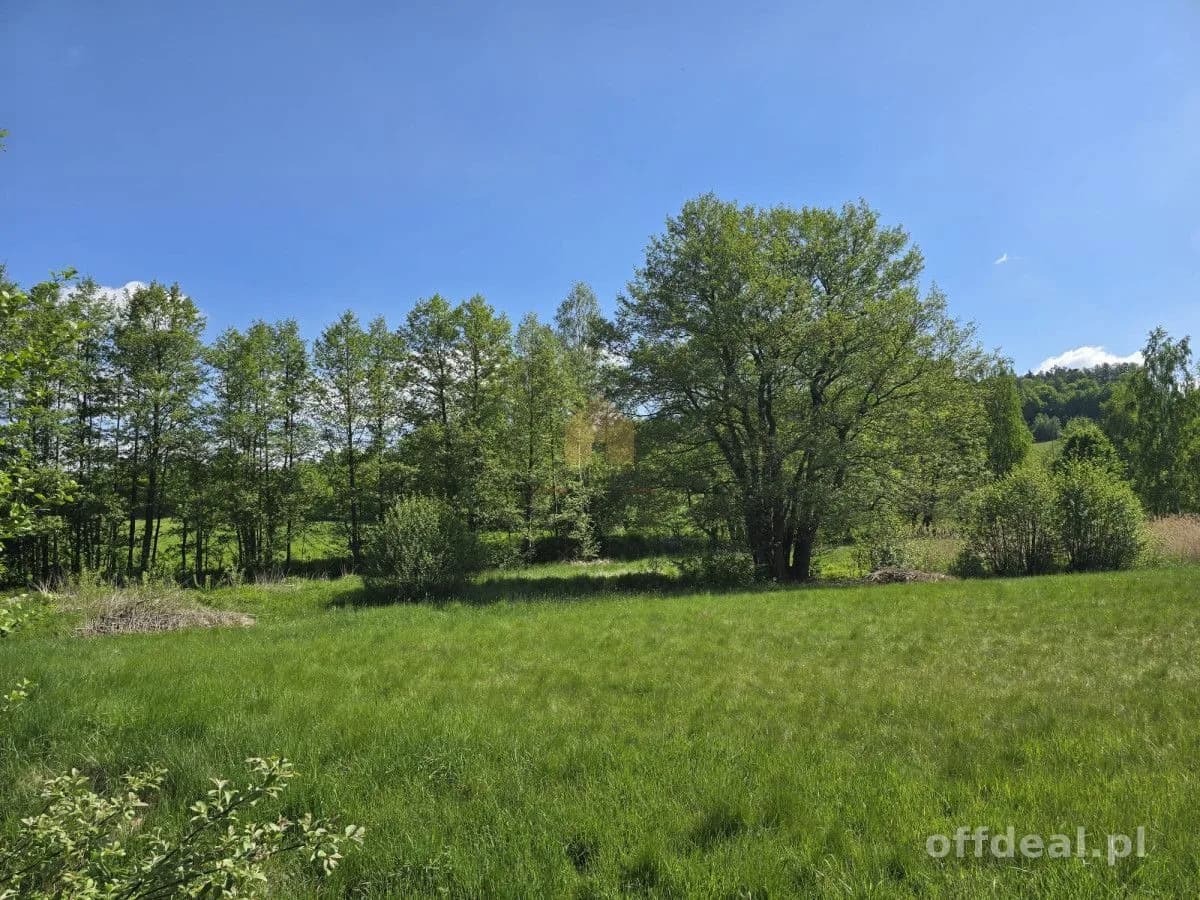 ділянка на продаж у Sosnówka | 2 809 m²