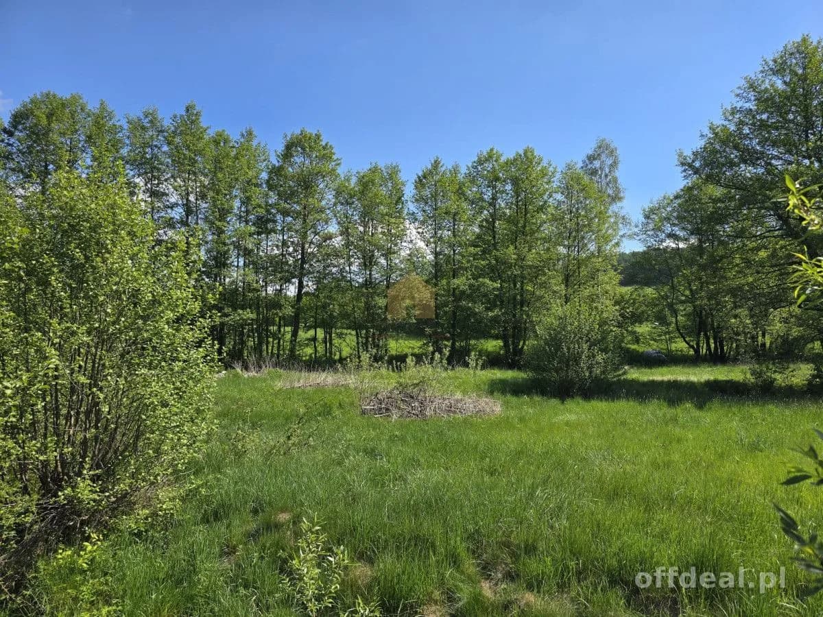 ділянка на продаж у Sosnówka | 2 809 m²