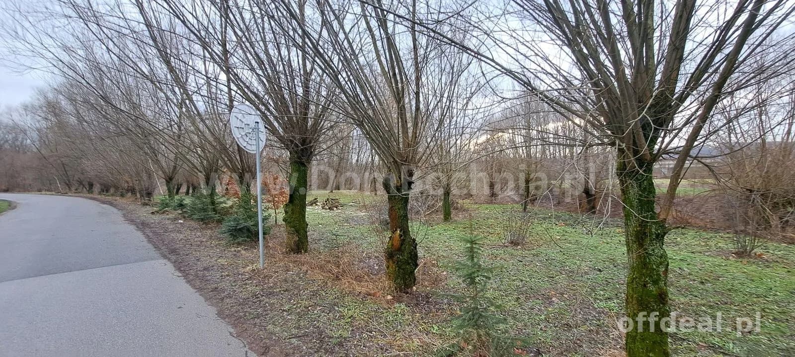 Damienice działka rolna blisko Raby