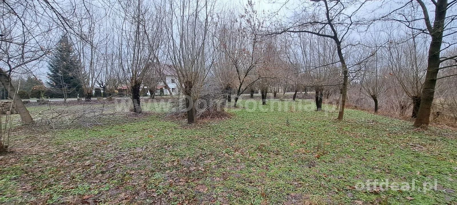 Damienice działka rolna blisko Raby