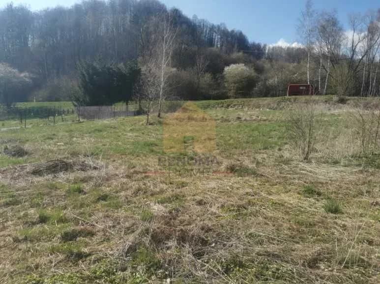 terrain à vendre à Lewin Kłodzki | 2 524 m²