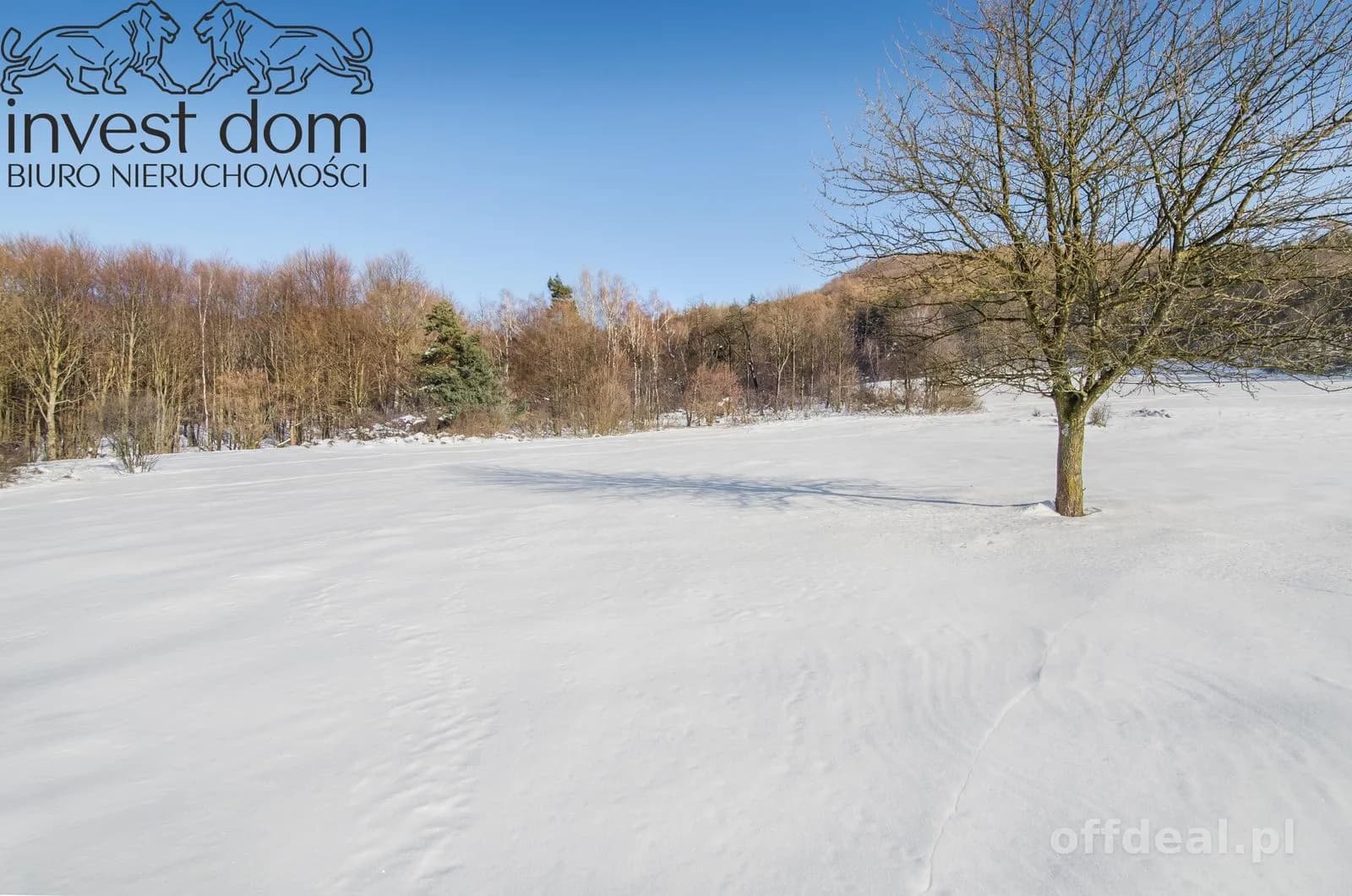 terrain à vendre à Wysowa-Zdrój | 13 937 m²