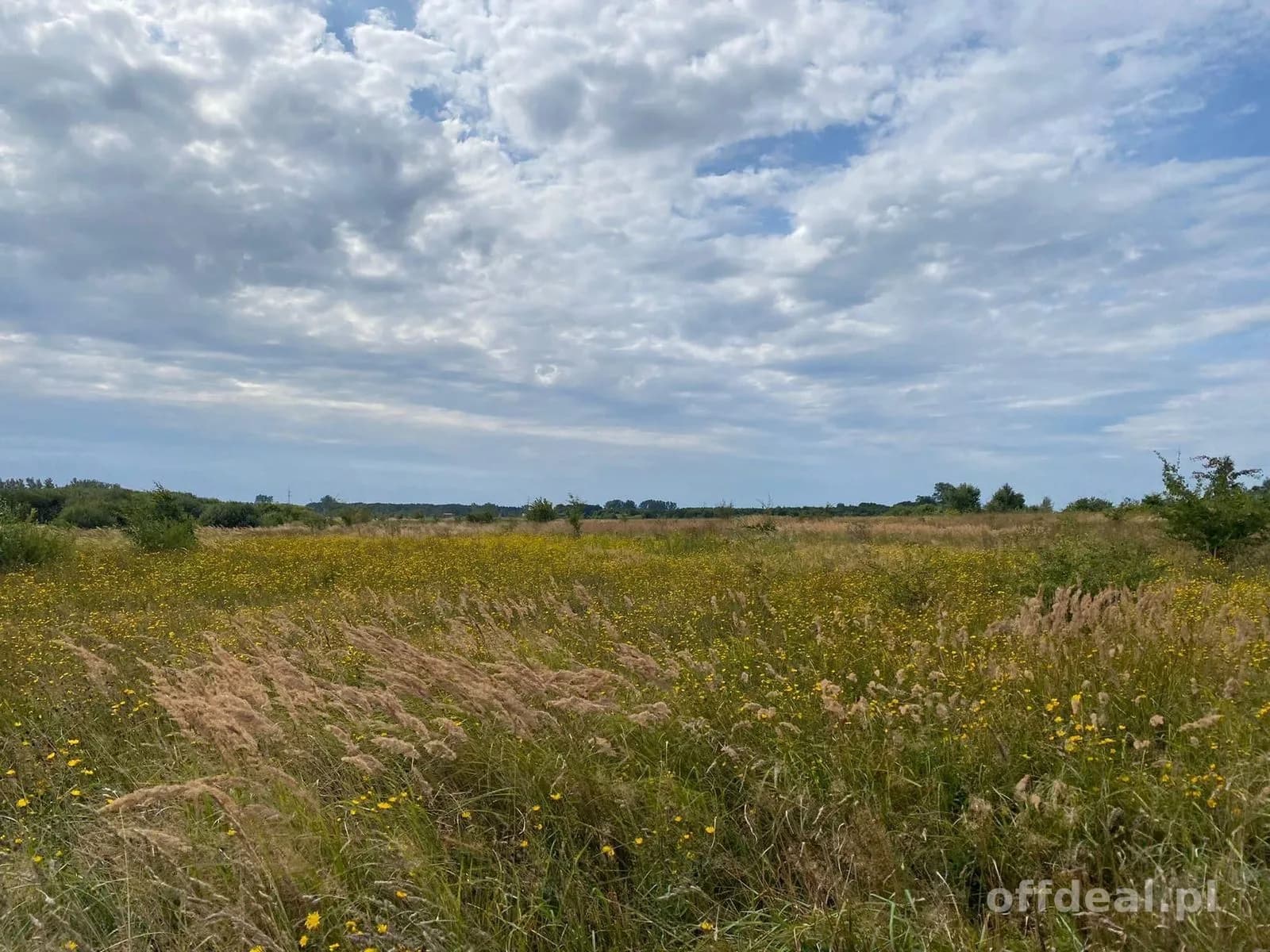 ділянка на продаж у Stary Borek | 17 598 m²
