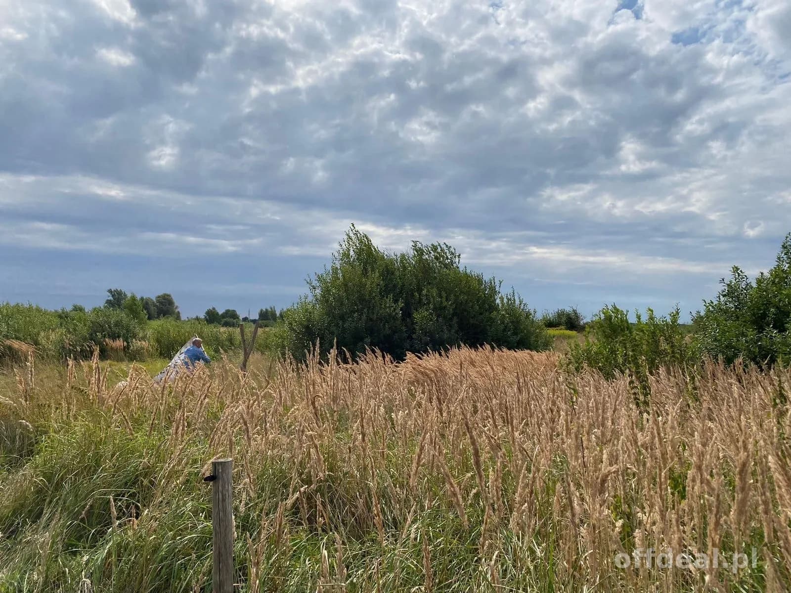 ділянка на продаж у Stary Borek | 17 598 m²