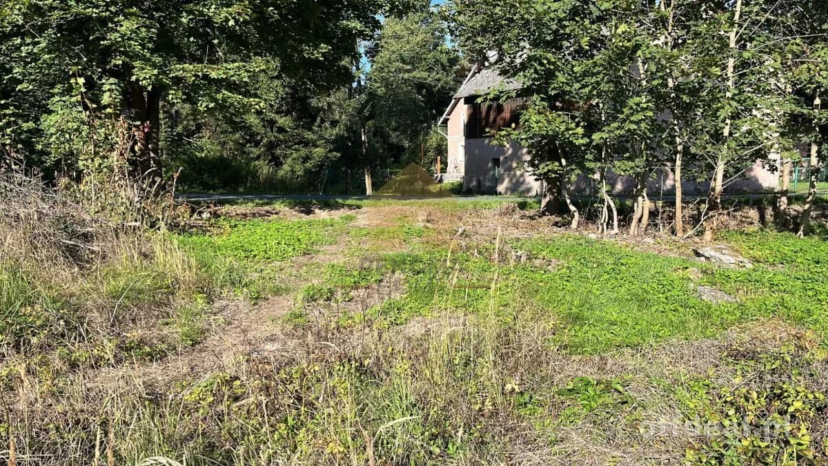 Zdjęcie 8: Działka, 3400 m², Bystrzyca Kłodzka