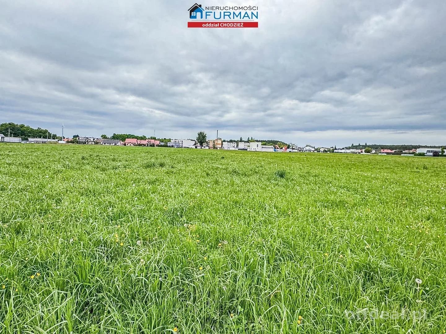 terrain à vendre à Ryczywół | 8 300 m²