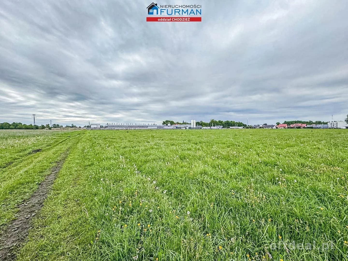 terrain à vendre à Ryczywół | 8 300 m²