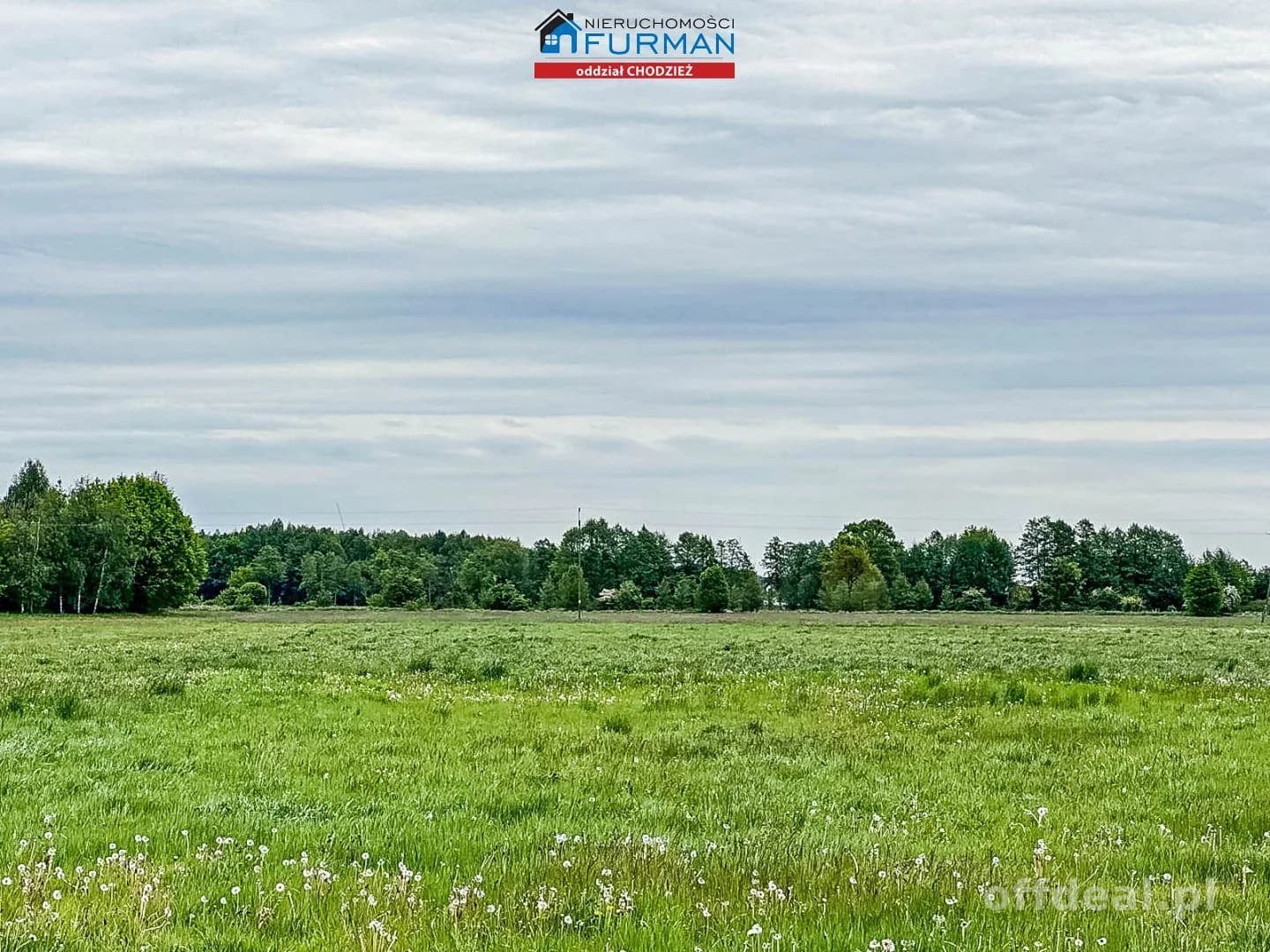 terrain à vendre à Ryczywół | 8 300 m²