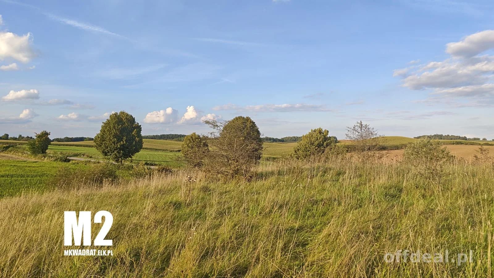 Zdjęcie 4: Działka, 5000 m², Ełk