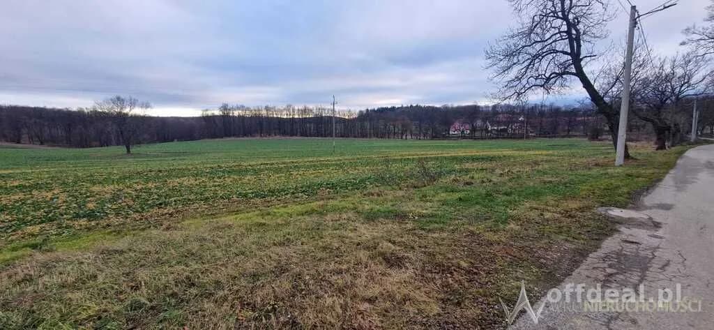 terrain à vendre à Jakuszowa