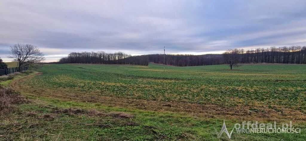 terrain à vendre à Jakuszowa