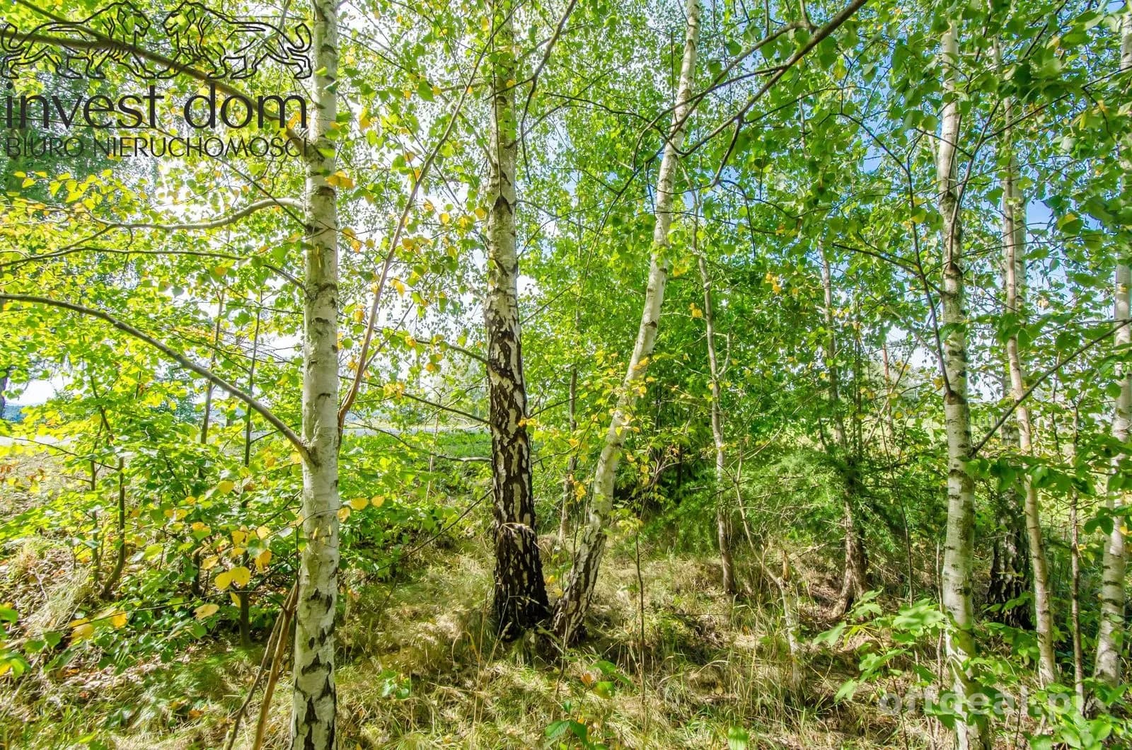 Zdjęcie 9: Działka, 7318 m², Moszczenica