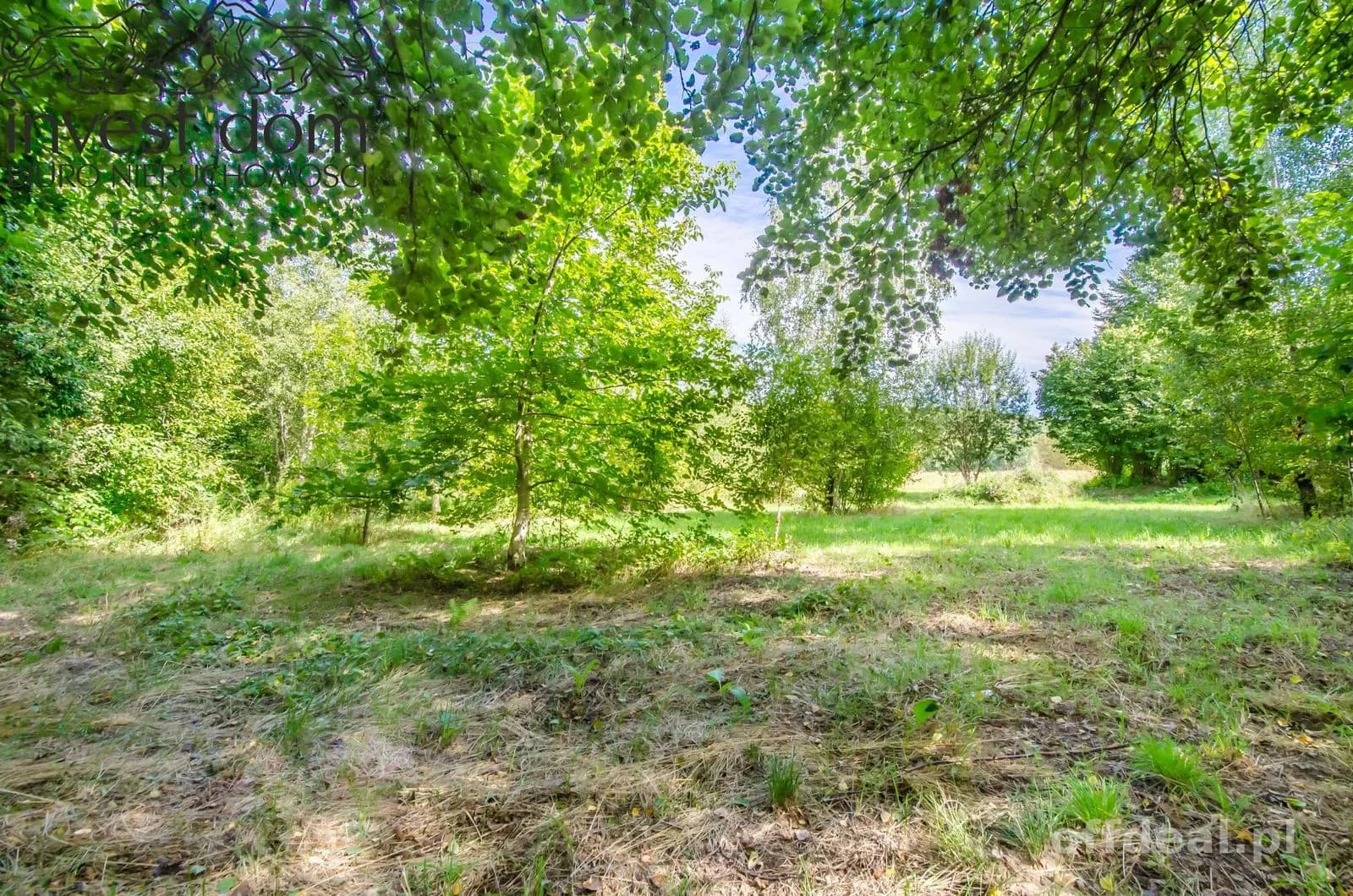 Zdjęcie 4: Działka, 7318 m², Moszczenica