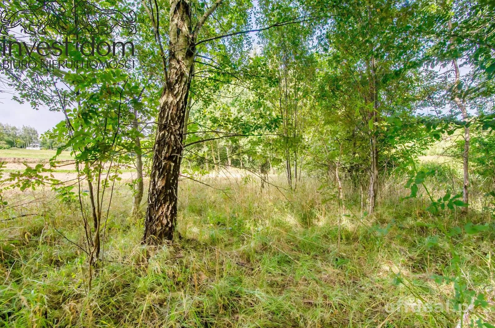 Zdjęcie 5: Działka, 7318 m², Moszczenica