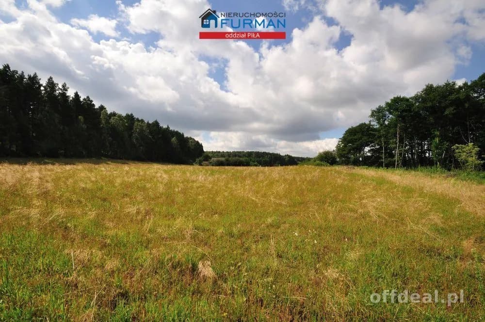 plot for sale in Zabrodzie | 22,300 m²