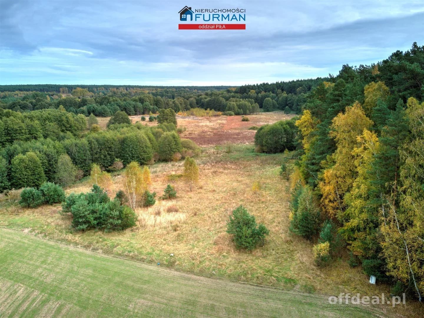 plot for sale in Zabrodzie | 22,300 m²
