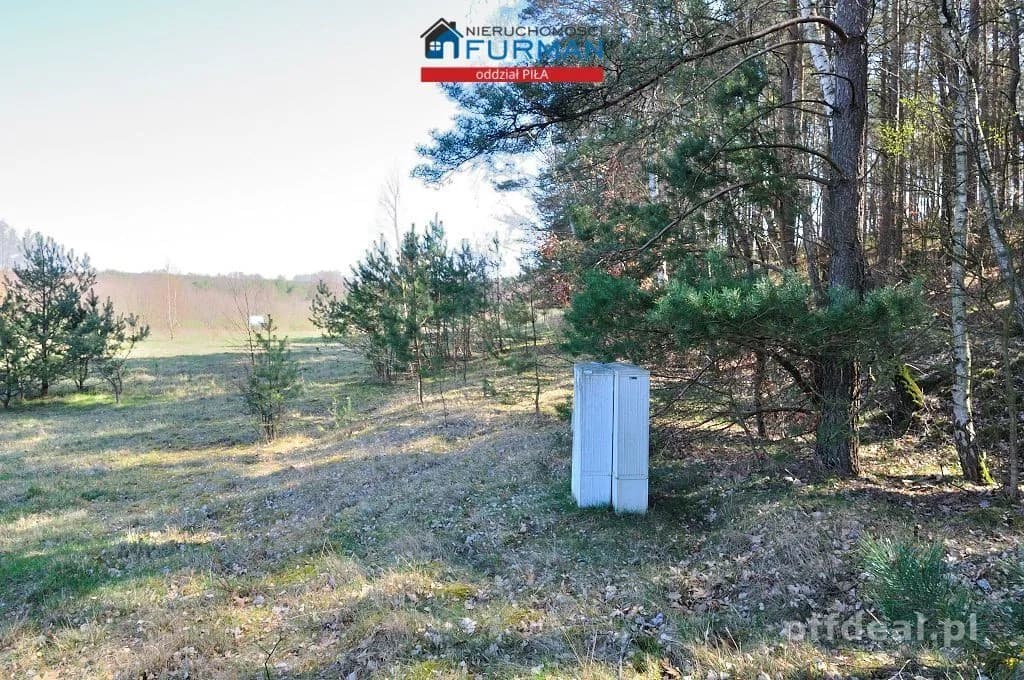 plot for sale in Zabrodzie | 22,300 m²