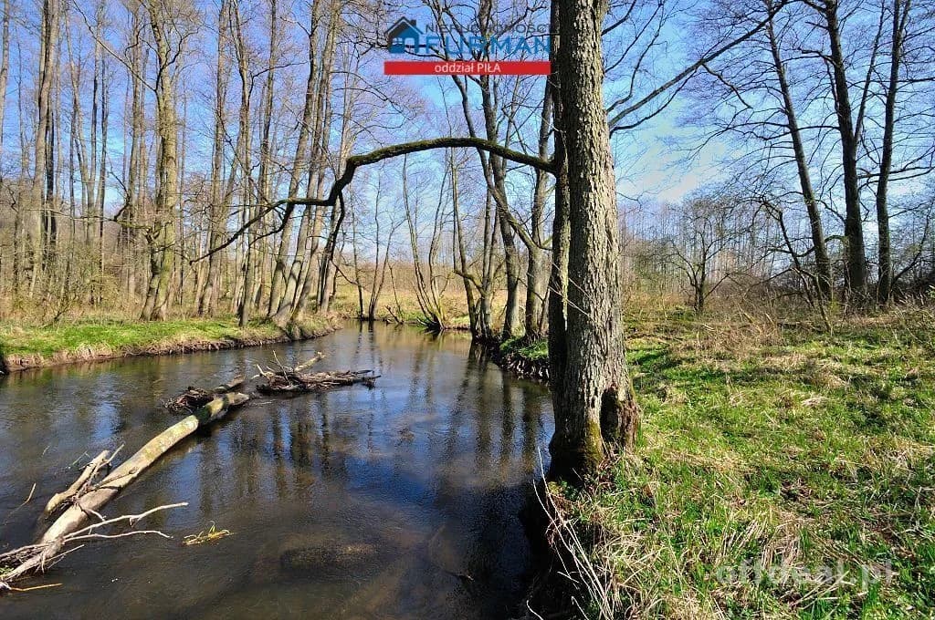 plot for sale in Zabrodzie | 22,300 m²