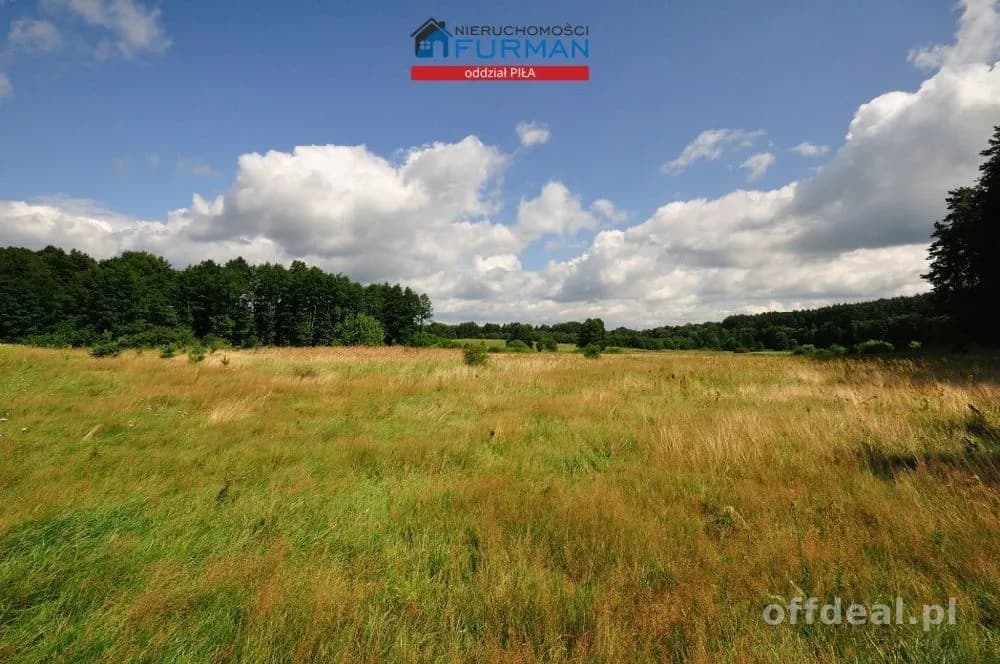 plot for sale in Zabrodzie | 22,300 m²