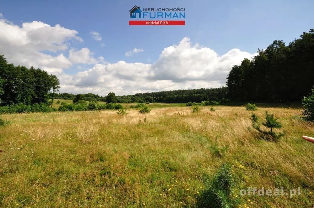 plot for sale in Zabrodzie | 22,300 m²