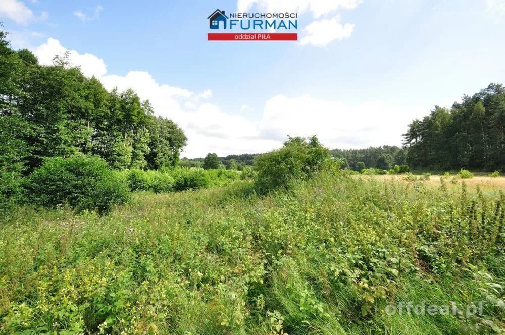 plot for sale in Zabrodzie | 22,300 m²