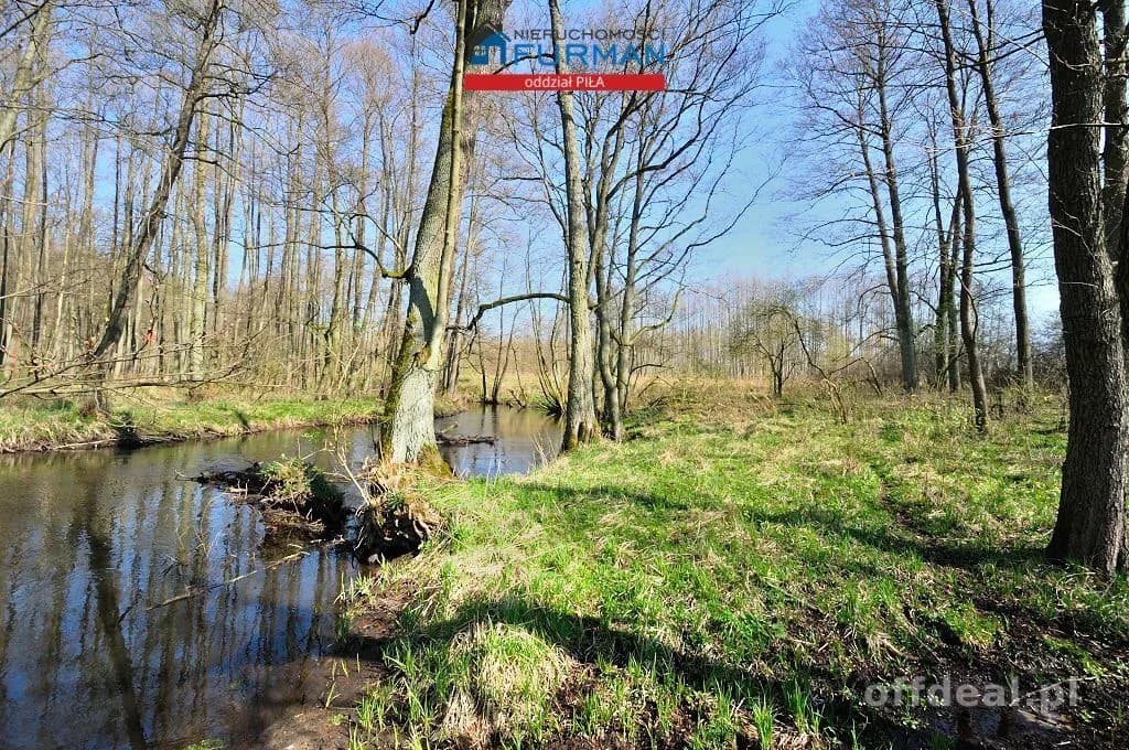 plot for sale in Zabrodzie | 22,300 m²