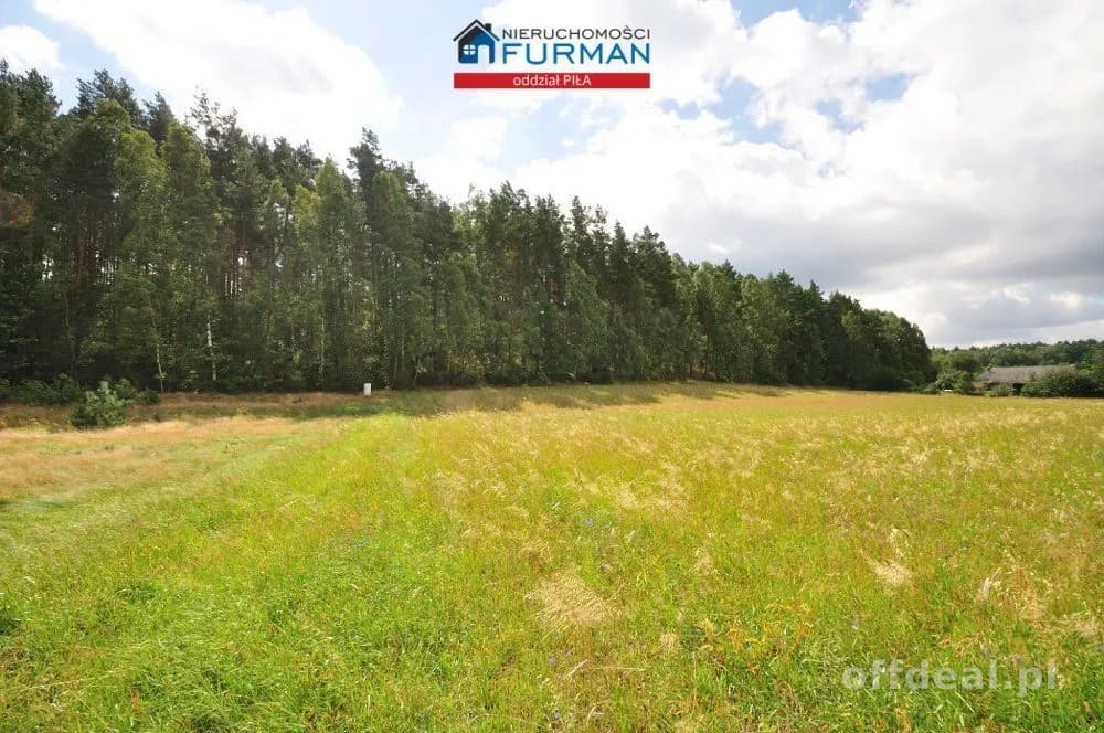 plot for sale in Zabrodzie | 22,300 m²