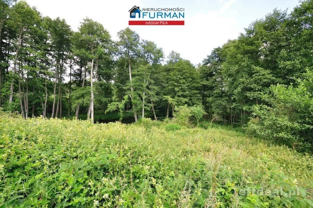 plot for sale in Zabrodzie | 22,300 m²