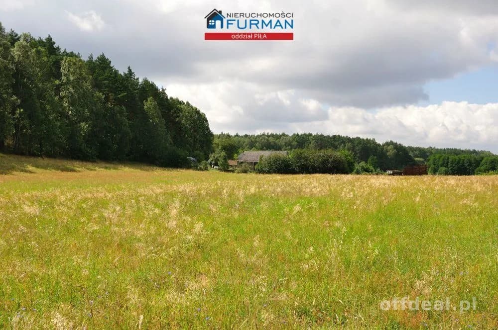 plot for sale in Zabrodzie | 22,300 m²