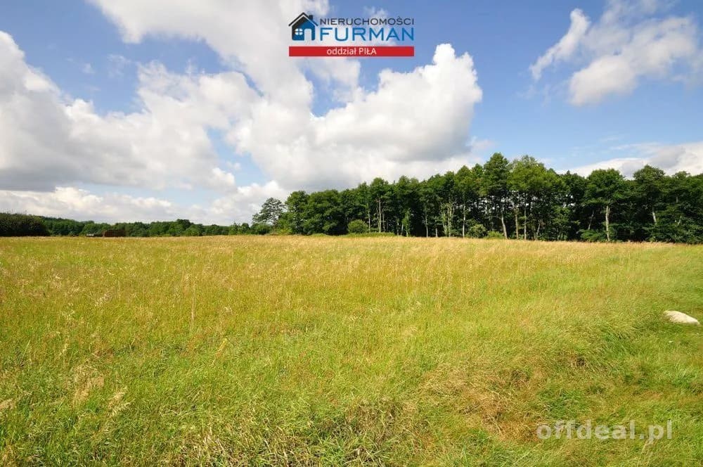 plot for sale in Zabrodzie | 22,300 m²
